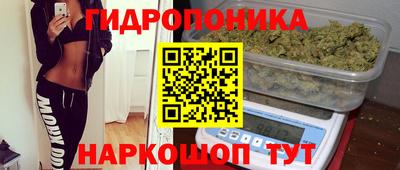 ALPHA PVP Гусев